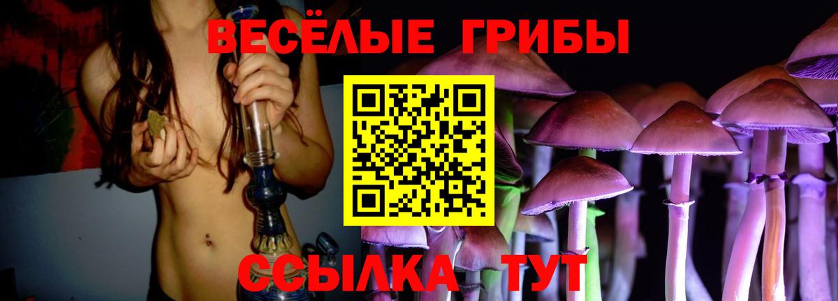 Псилоцибиновые грибы Cubensis  купить наркотик  Белорецк  Вход с VPN 